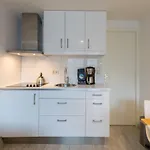 Quietly Located Apartment At The Outskirts Of Domburg